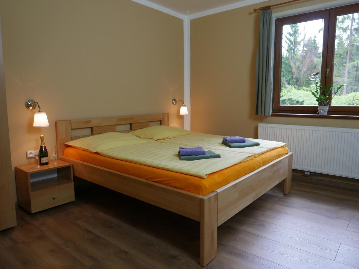 Pension Aspen Harrachov Esterno foto