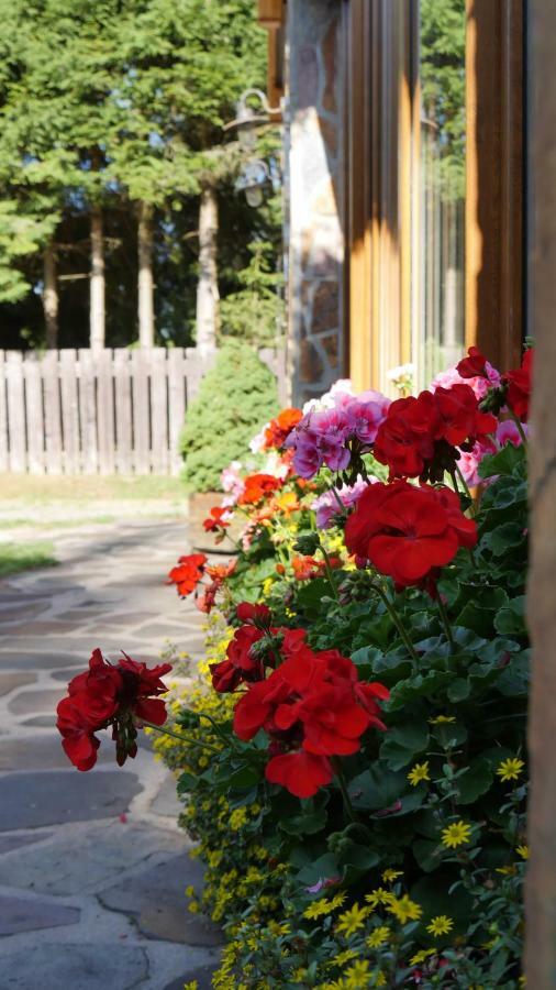 Pension Aspen Harrachov Esterno foto
