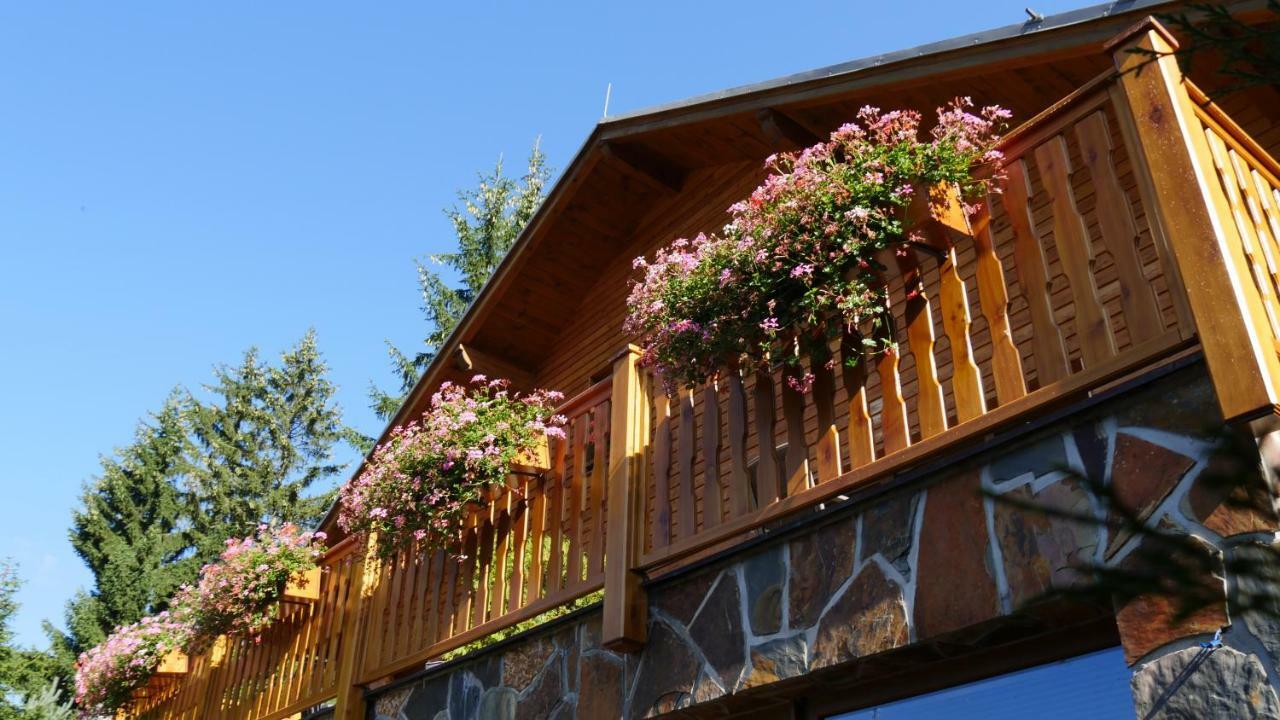Pension Aspen Harrachov Esterno foto